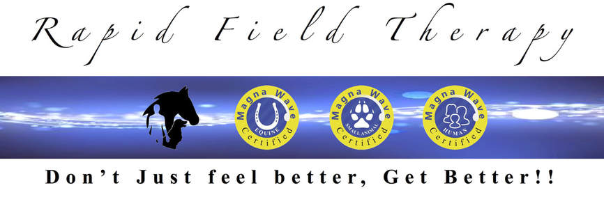 Rapid Field Therapy - Magna Wave Pulsed Electromagnetic Field Therapy Don't just feel better, Get Better!
